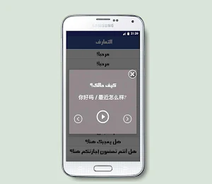 تعلم اللغة الصينية بالصوت Screenshot 2