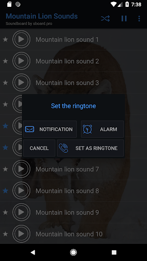 Mountain lion sounds ~ Sboard.pro Screenshot 2
