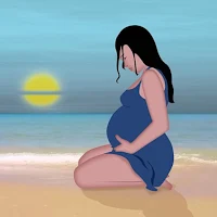 Animals Gestation period