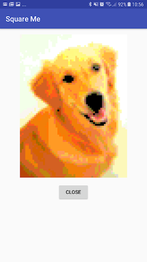 Square Me Screenshot 1