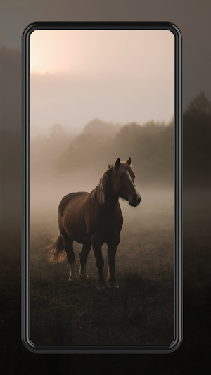 Horse Wallpapers 4K HD 2024 Screenshot 2