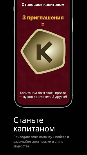 ДФЛ-Рубин Screenshot 1
