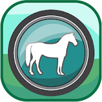 Classification of Animals