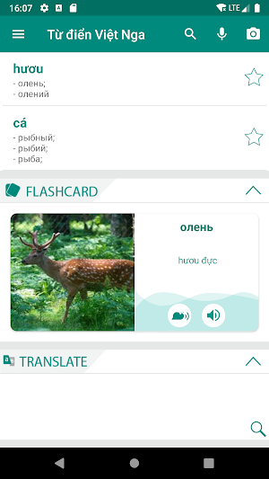 Russian Vietnamese Dictionary Screenshot 0