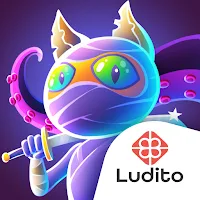 Cat Ninja