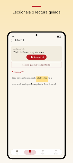 La Constitución Española 1978 Screenshot 2