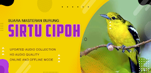Suara Burung Sirtu Screenshot 1