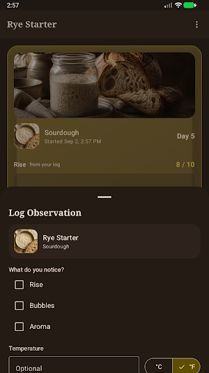 Brinepost: Sourdough & Ferment Screenshot 2