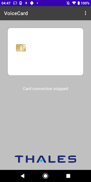 VoiceCard Companion Screenshot 1