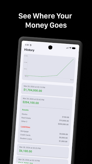 Net Snapshot – Net Worth Screenshot 1