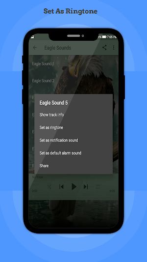 Eagle Sounds Screenshot 3