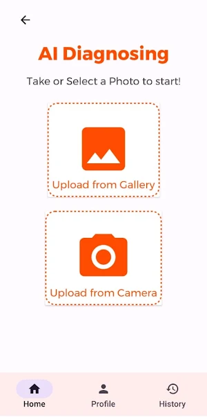 PetHub Screenshot 2