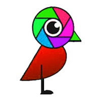 Sparrow Educare