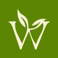 Wellness Eats