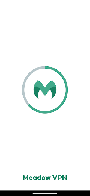 Meadow VPN: Fast Secure Path Screenshot 2