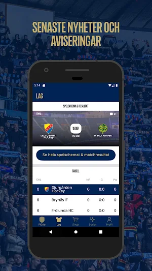 DIF Hockey Screenshot 2