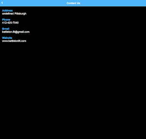 BF ONLINE Screenshot 1