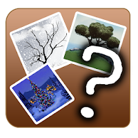 GuessWord (4 pics 1 word)
