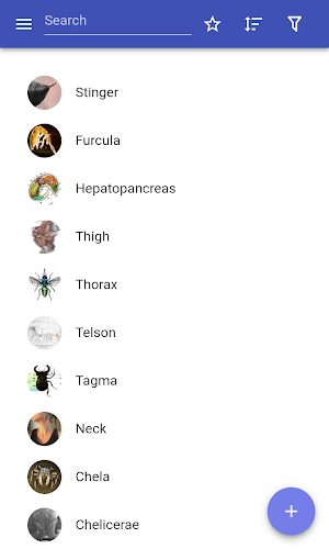 Anatomy of arthropods Screenshot 0