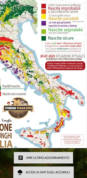 Semaforo dei Funghi Screenshot 2
