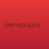 Bene Puppy