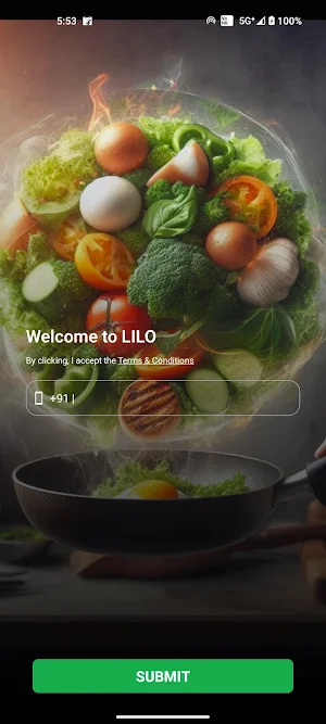 LILO Screenshot 1