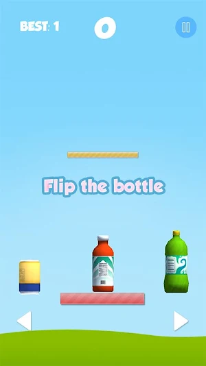 Water Bottle Flip 3D Challenge Screenshot 0