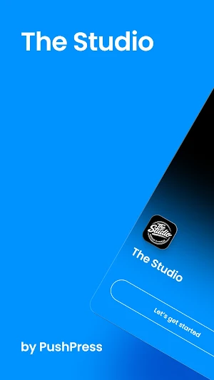 The Studio Screenshot 0