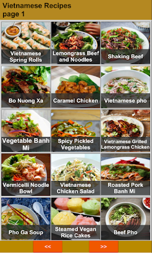 Vietnamese Recipes Offline Screenshot 0