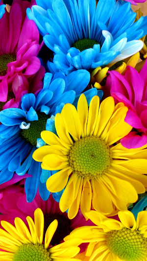 Flower Wallpapers HD 2021 Screenshot 1