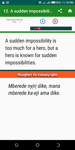 Igbo Proverbs (Ilu Igbo) with Audio screenshot 7