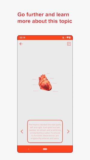 Hatysis screenshot 5