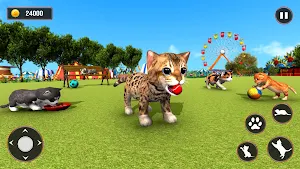 Kitty Cat Simulator Tommy Game Screenshot 2