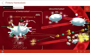 iHemostasis Screenshot 2