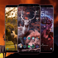 Deer Wallpaper