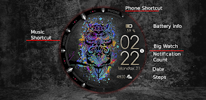 Color Owl Watch Face Wear OS Screenshot 3