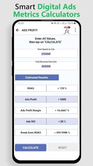 Digital Ads Metrics Calculator Screenshot 1