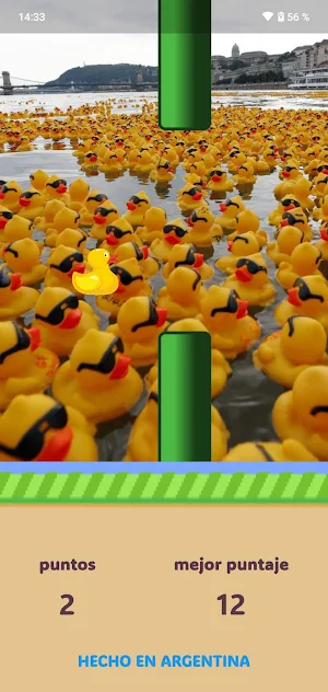 Pajaro Pelotu Screenshot 0