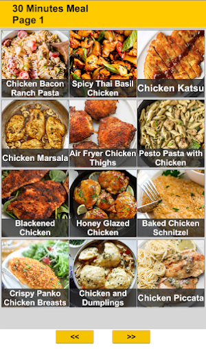 30 Minutes Meal Recipes Screenshot 0