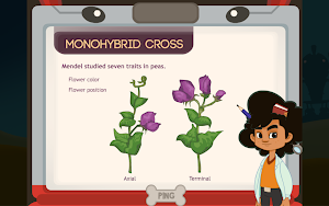 Monohybrid Cross Screenshot 3