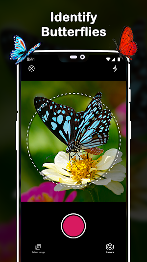 Insect Identifier : Insect ID, AI Photo Camera Screenshot 3