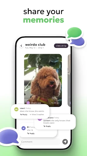 stripz Screenshot 3