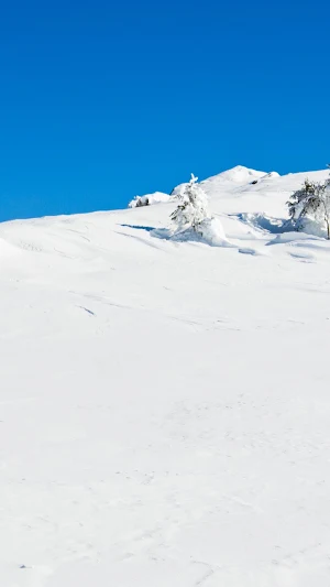 Snowshoeing Wallpaper Screenshot 3