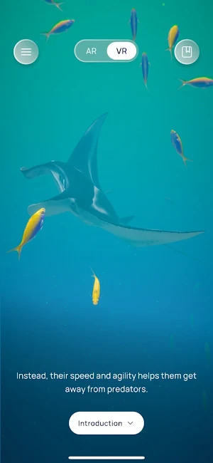 Manta Story Screenshot 2