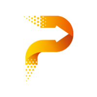 Pace Digitek
