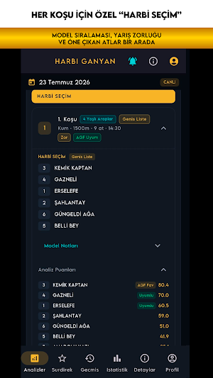 Harbi Ganyan: At Yarış Analizi Screenshot 1