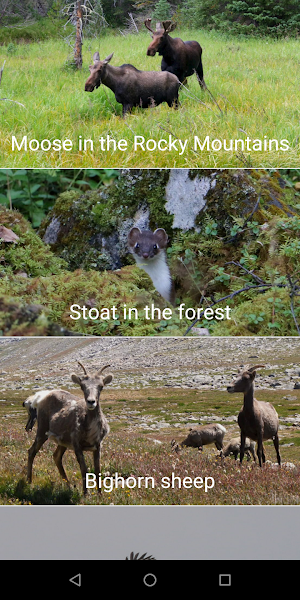 Nature Media Contents Screenshot 1