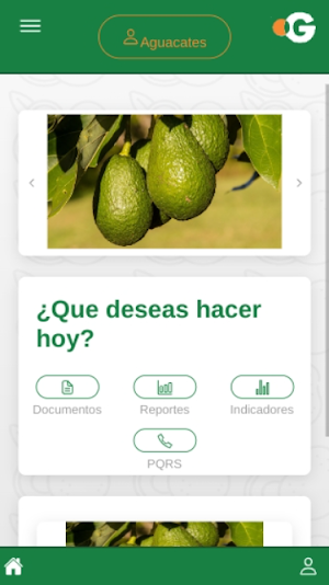 FRUTY GREEN PACKING Screenshot 1