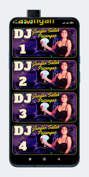 Dj Jangan Salah Pasangan Screenshot 1