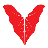 Iamitsekiri
